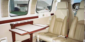Beech Baron 58 view for Martha's Vineyard charter